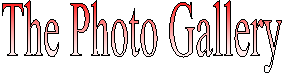 The Photo Gallery