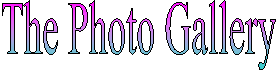 The Photo Gallery