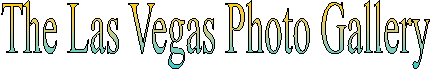 The Photo Gallery