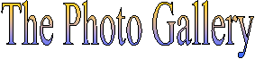 The Photo Gallery