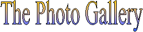 The Photo Gallery